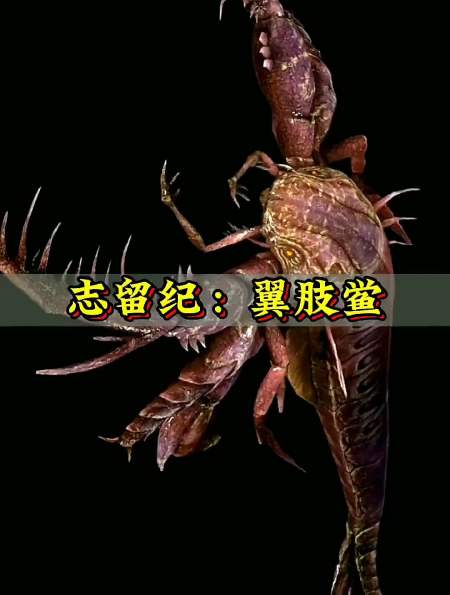 史前巨兽,翼鲎 远古生物 动物科普 板足鲎-度小视