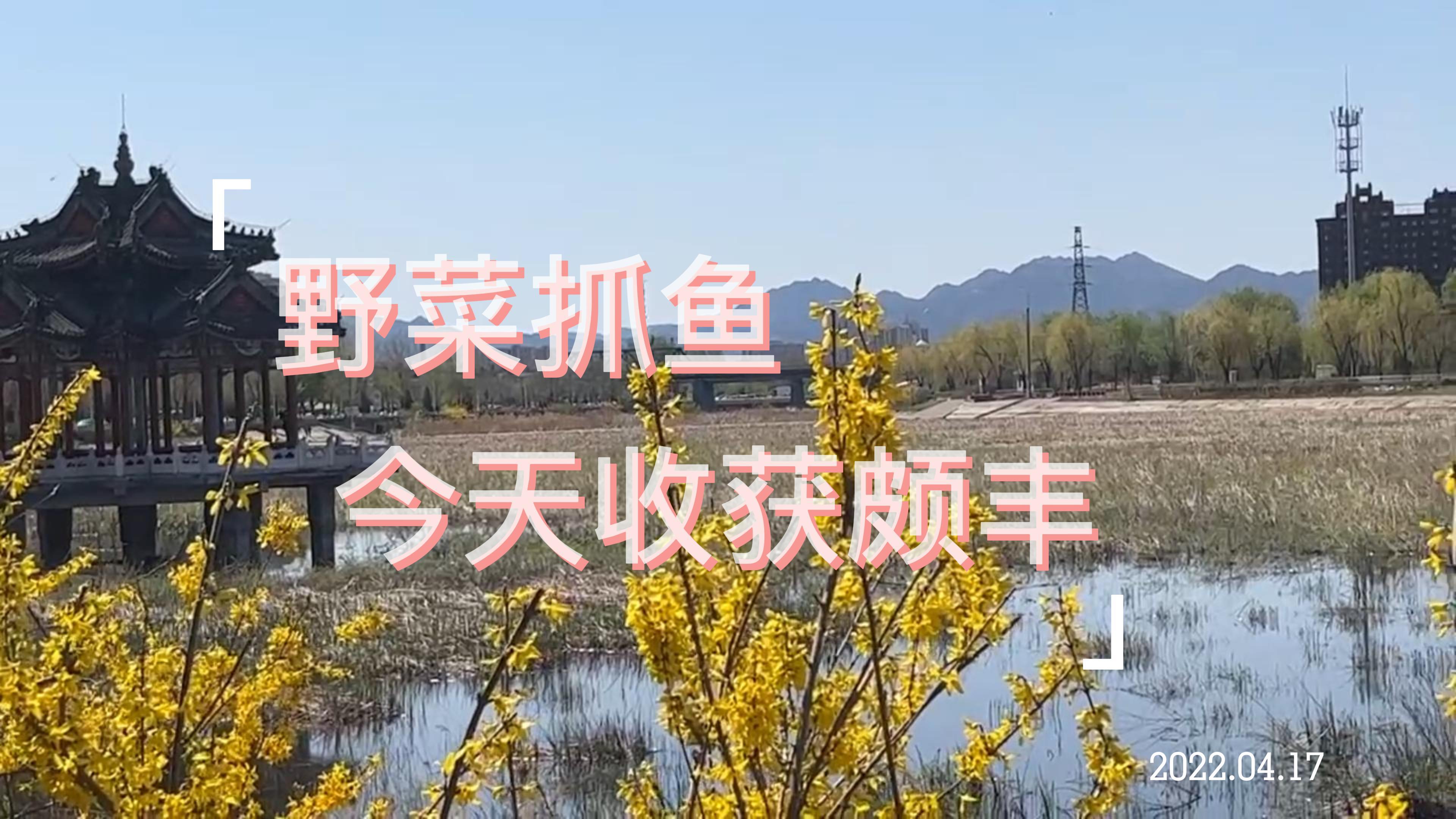 床车自驾北京密云开心玩耍的一天,春游好去处玩水、挖野菜一条龙