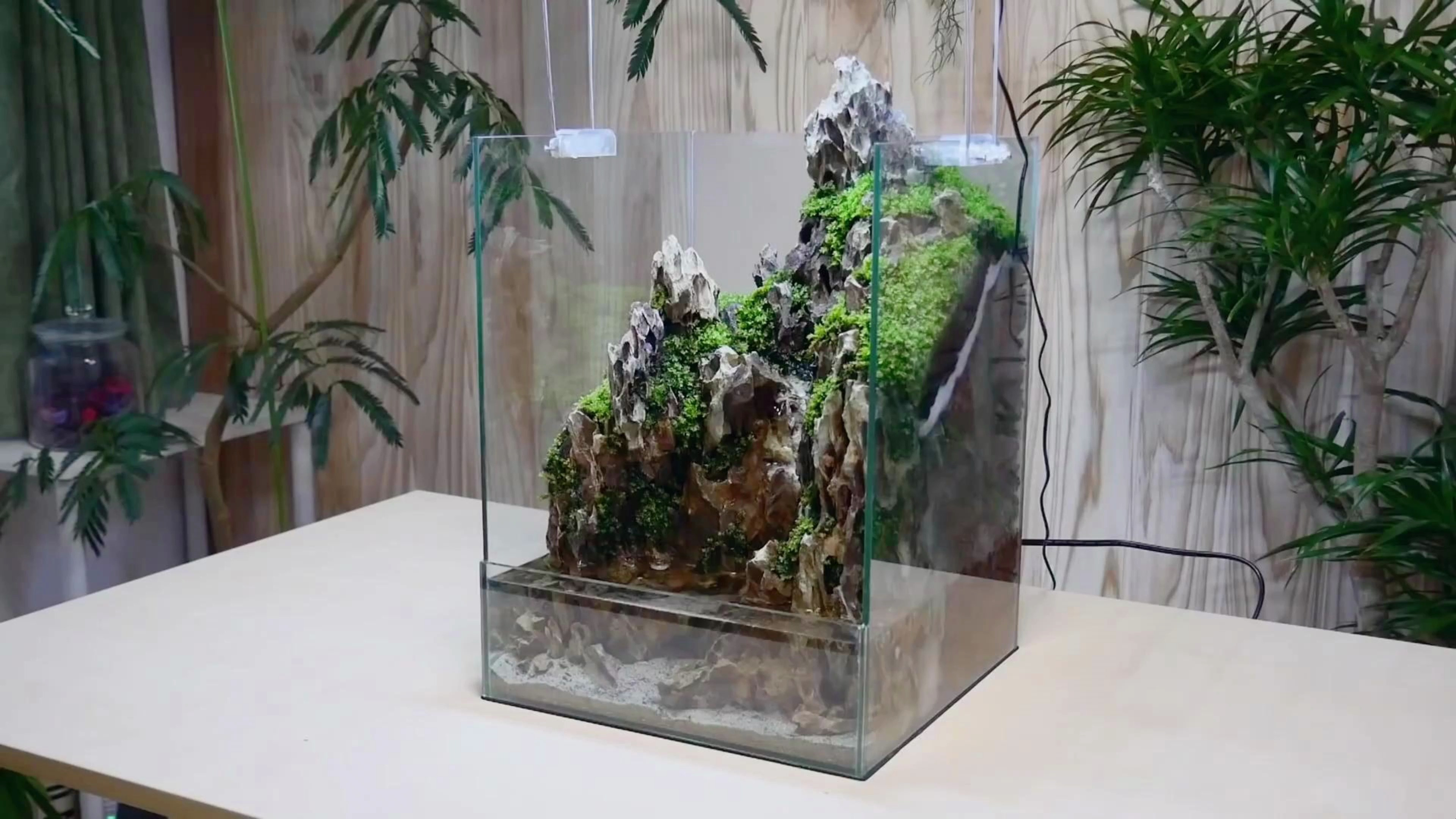 用松皮石制作一个假山水陆缸造景，这也太好看了