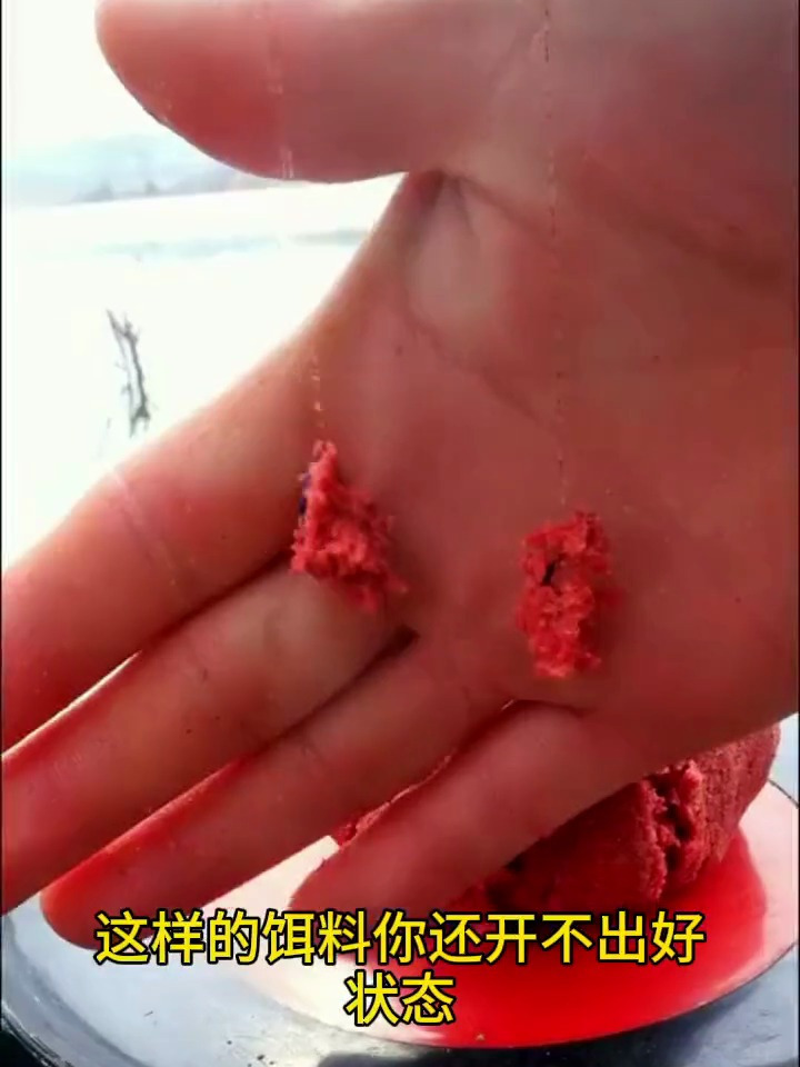 别再复杂开饵了老钓手虾肉红虫一杯搞定新手也能拉出大饵球