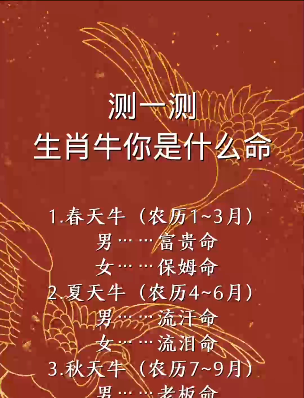 生肖牛的今年的运势如何(牛肖牛今年运势)