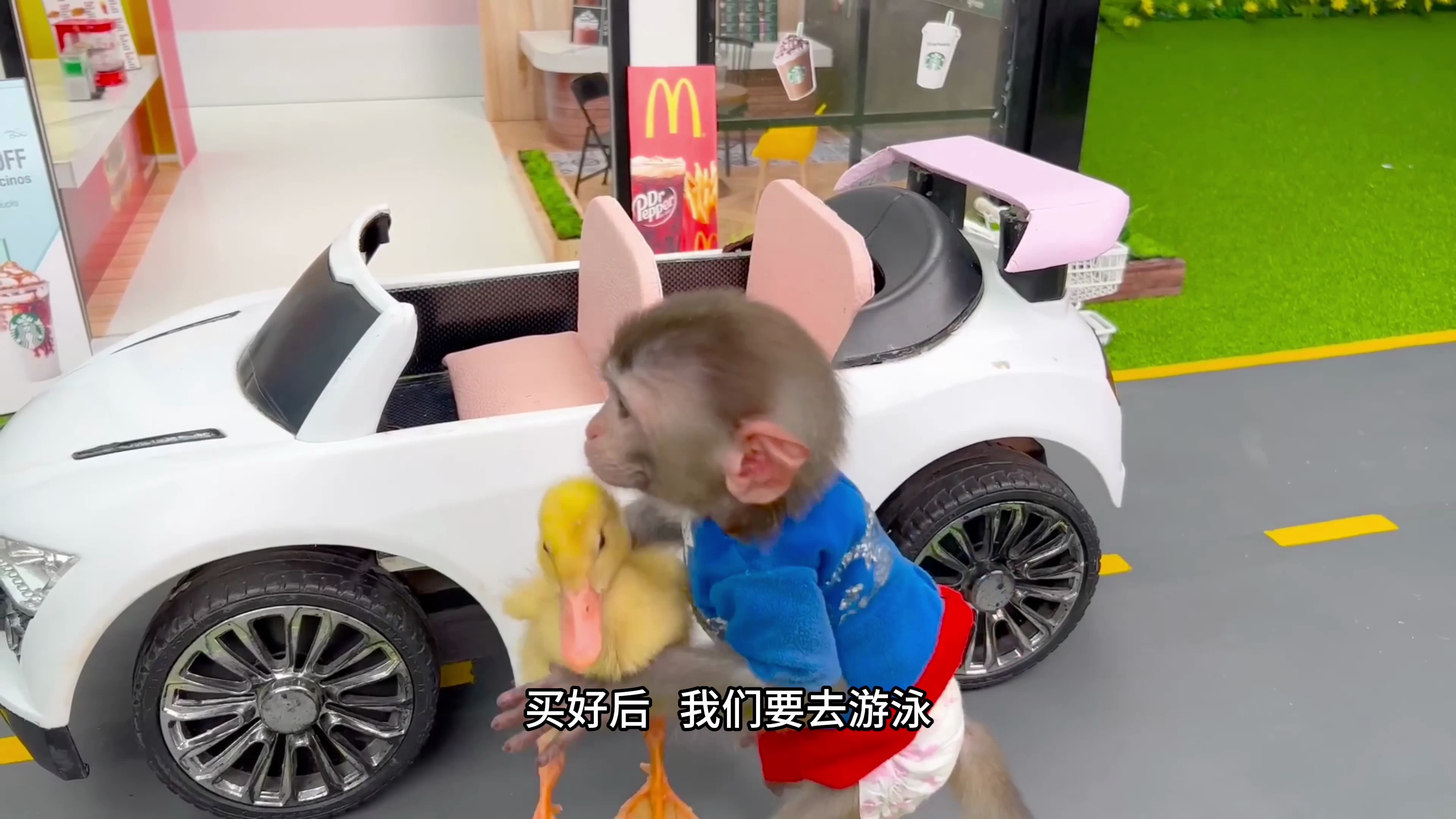 小猴子带小鸭子游泳第一集