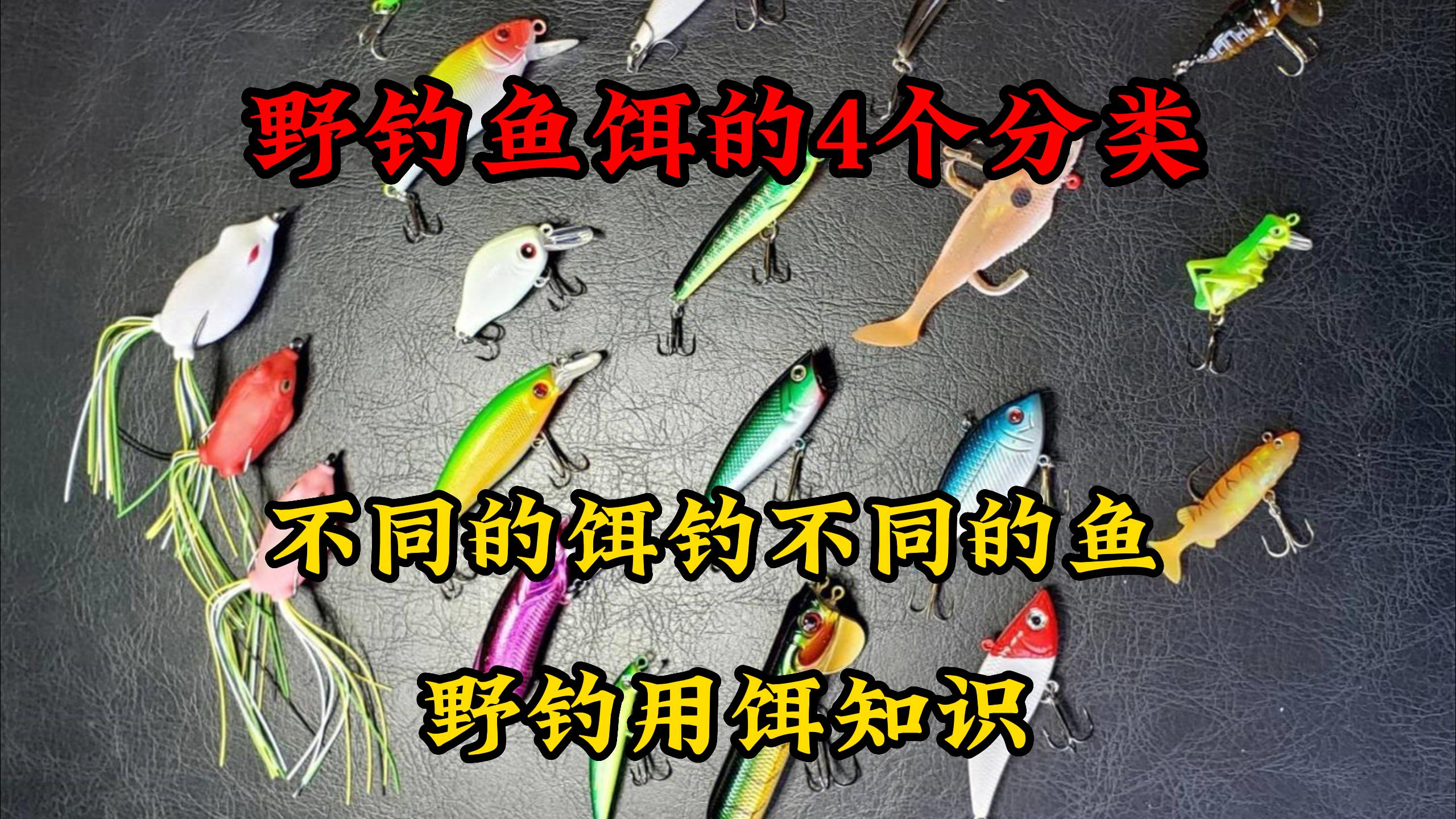 野钓鱼饵的4个分类,不同的饵钓不同的鱼,野钓用饵知识