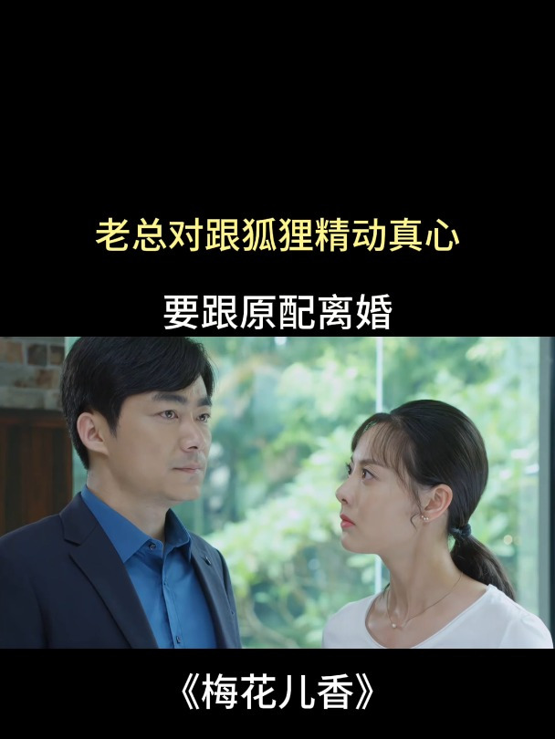 梅花儿香:老总对狐狸精动真心,要跟原配离婚