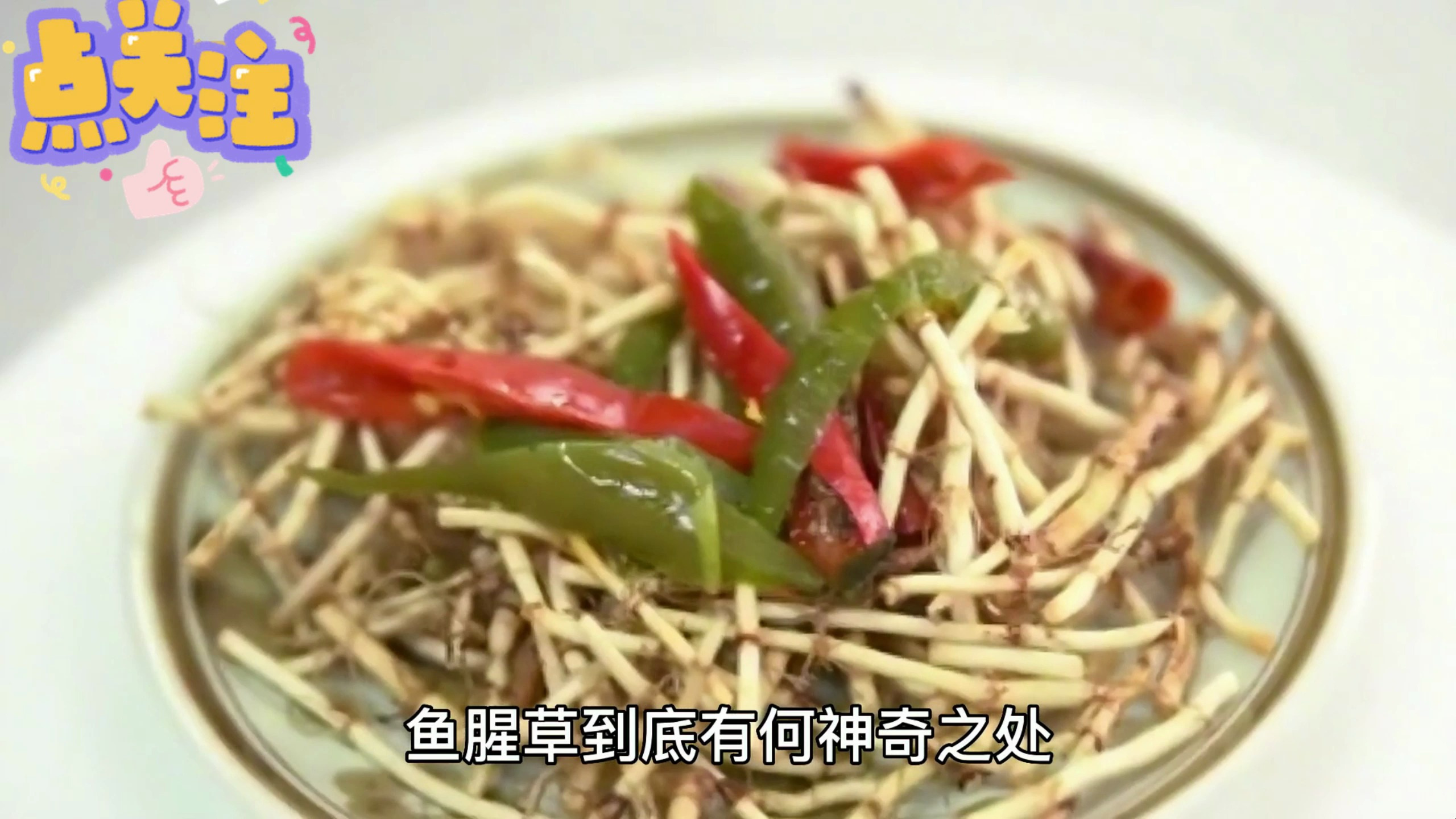 鱼腥草是什么?为何能做到让人又爱又恨?鱼腥草 中药本草