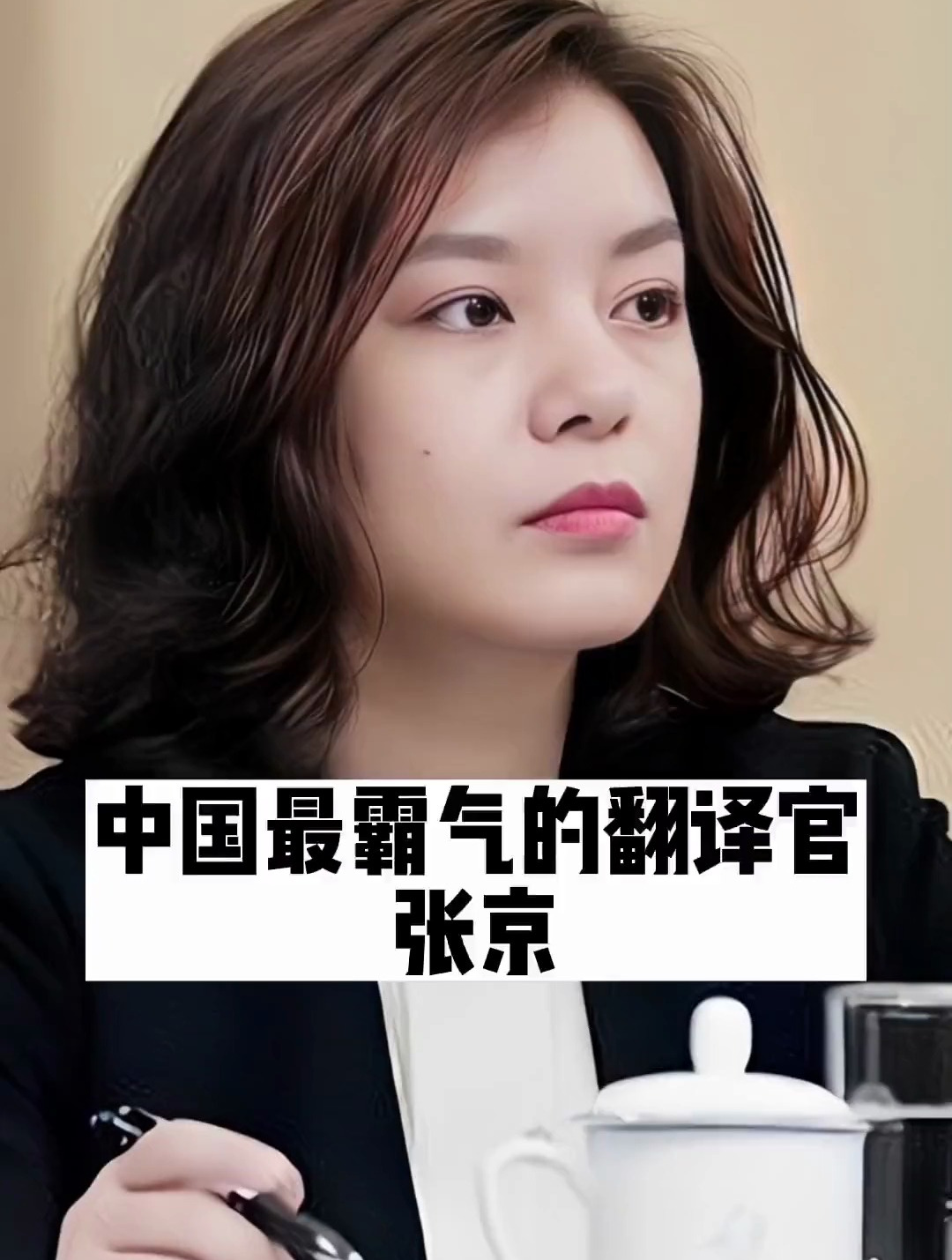 中国最霸气最美翻译官张京,明星背后故事-度小视