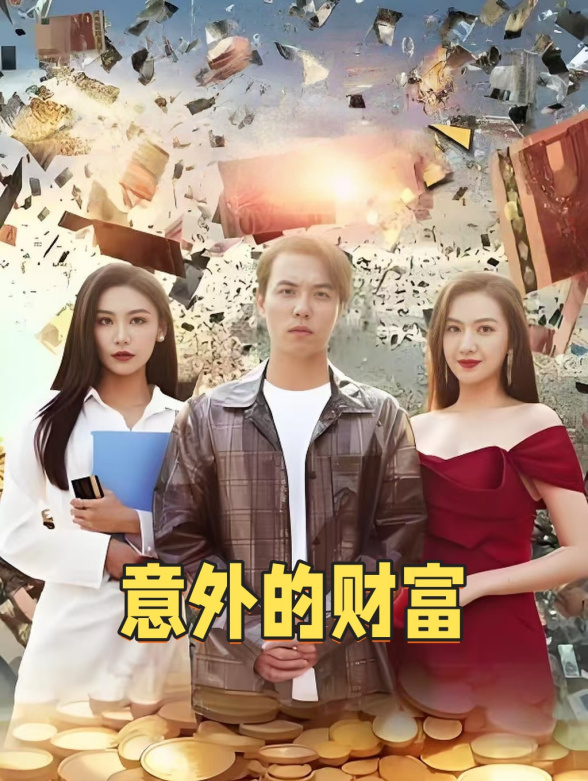意外的财富封面图