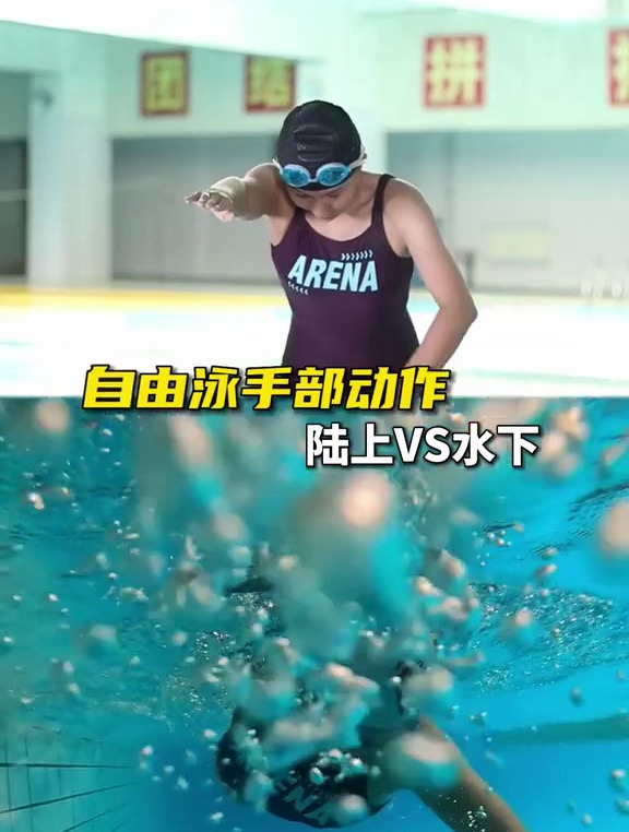自由泳划手的标准动作是什么?