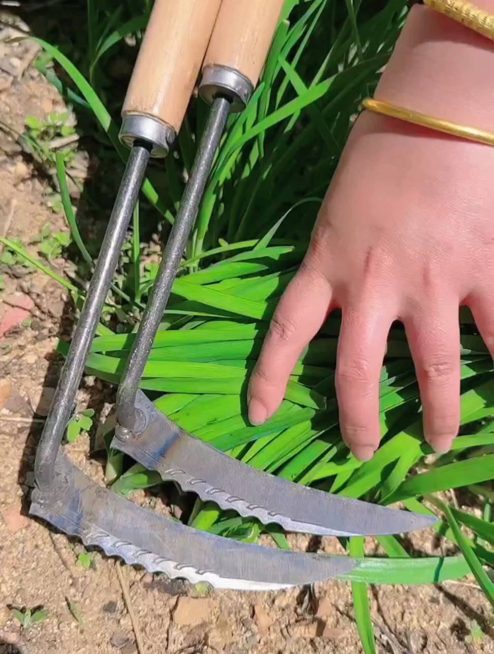 大家来看看这个割韭菜特别好的小镰刀,蔬菜韭菜大葱都可以割