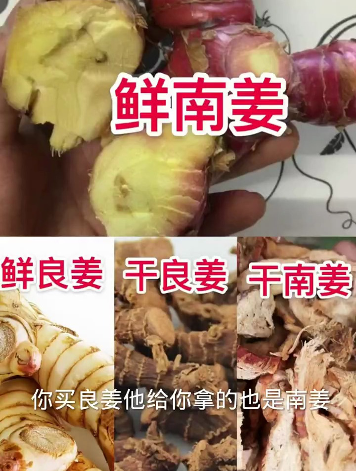 南姜pk良姜,南姜和良姜你买对了吗