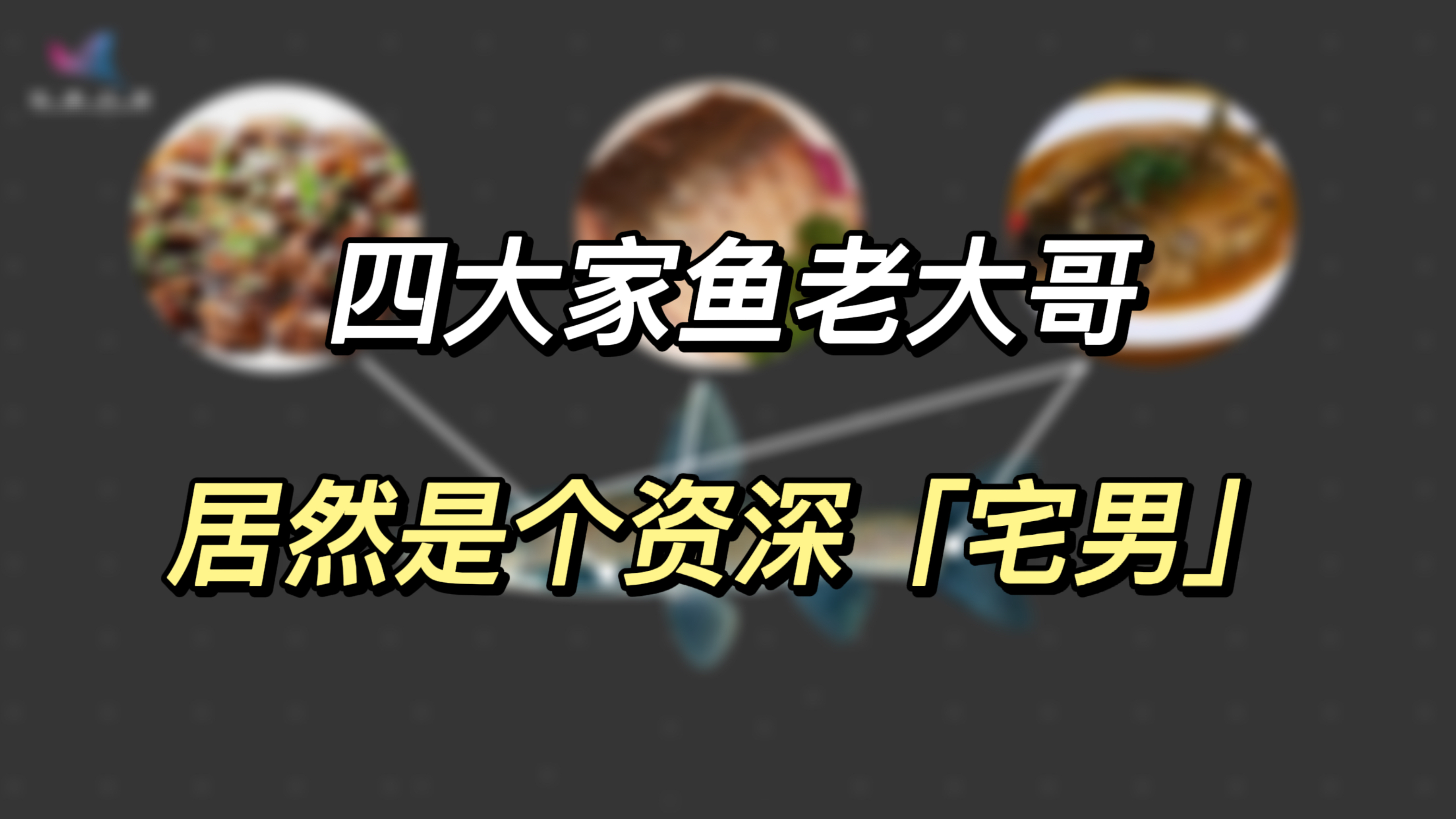 青鱼:四大家鱼老大哥,居然是个资深“宅男”