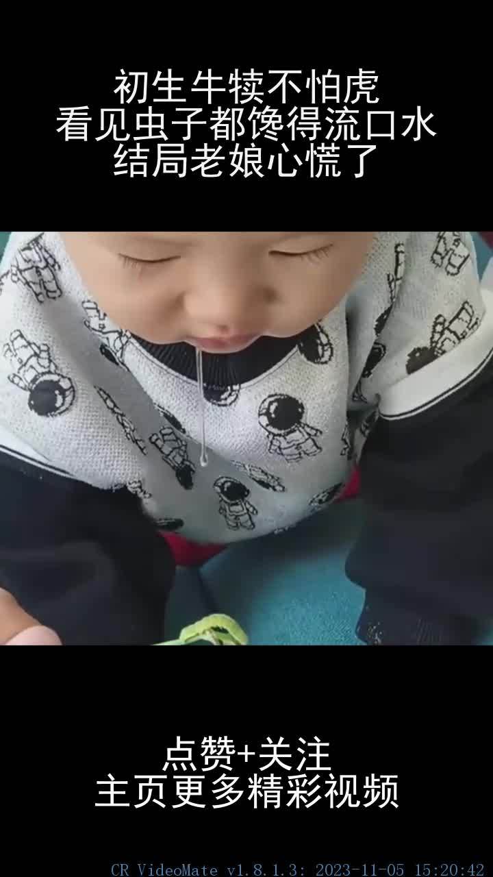 初生牛犊不怕虎,看见虫子都馋得流口水,结局老娘心慌了!-度小视
