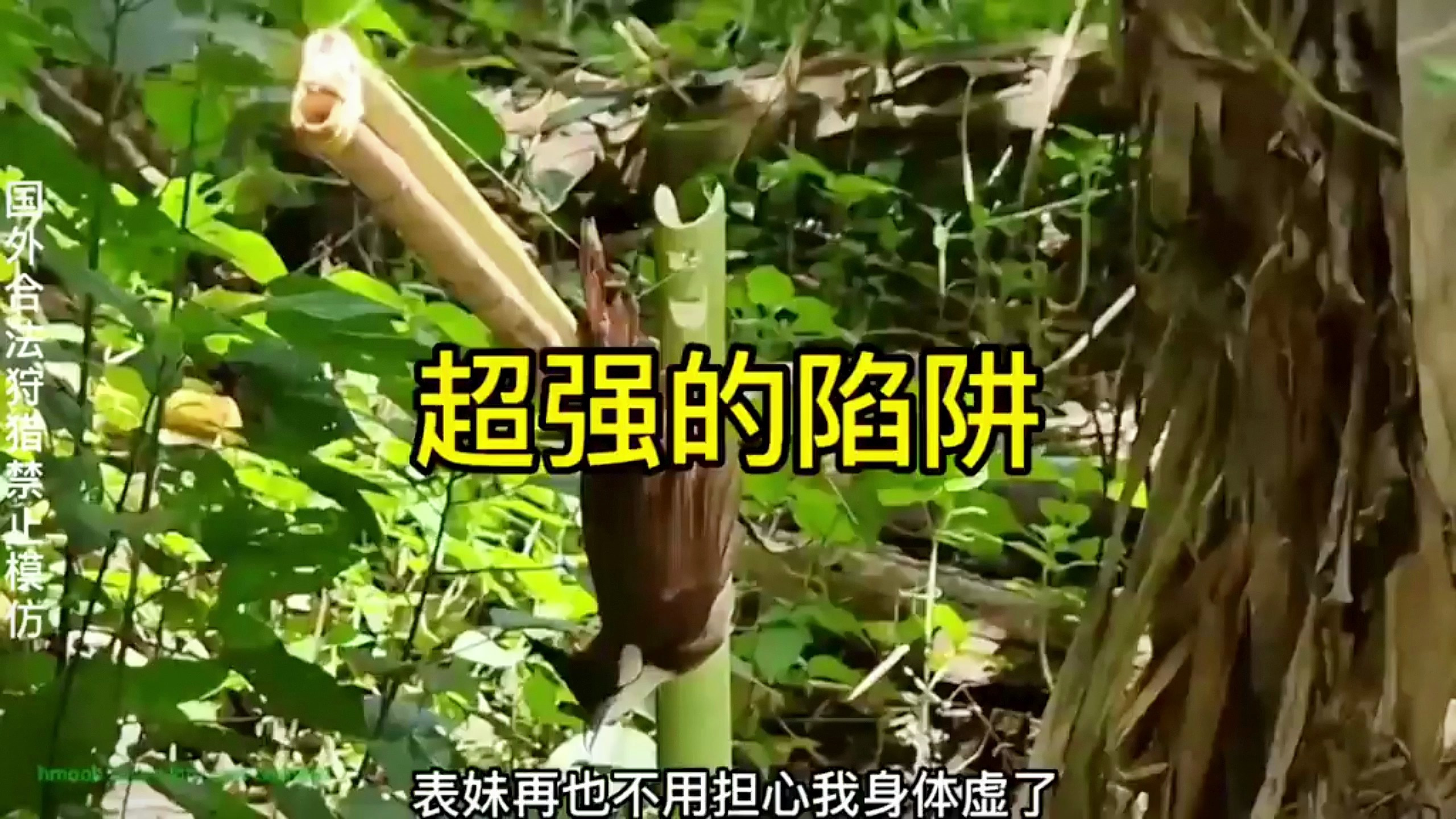 看小哥如何用简单的方法,来捕捉到猎物