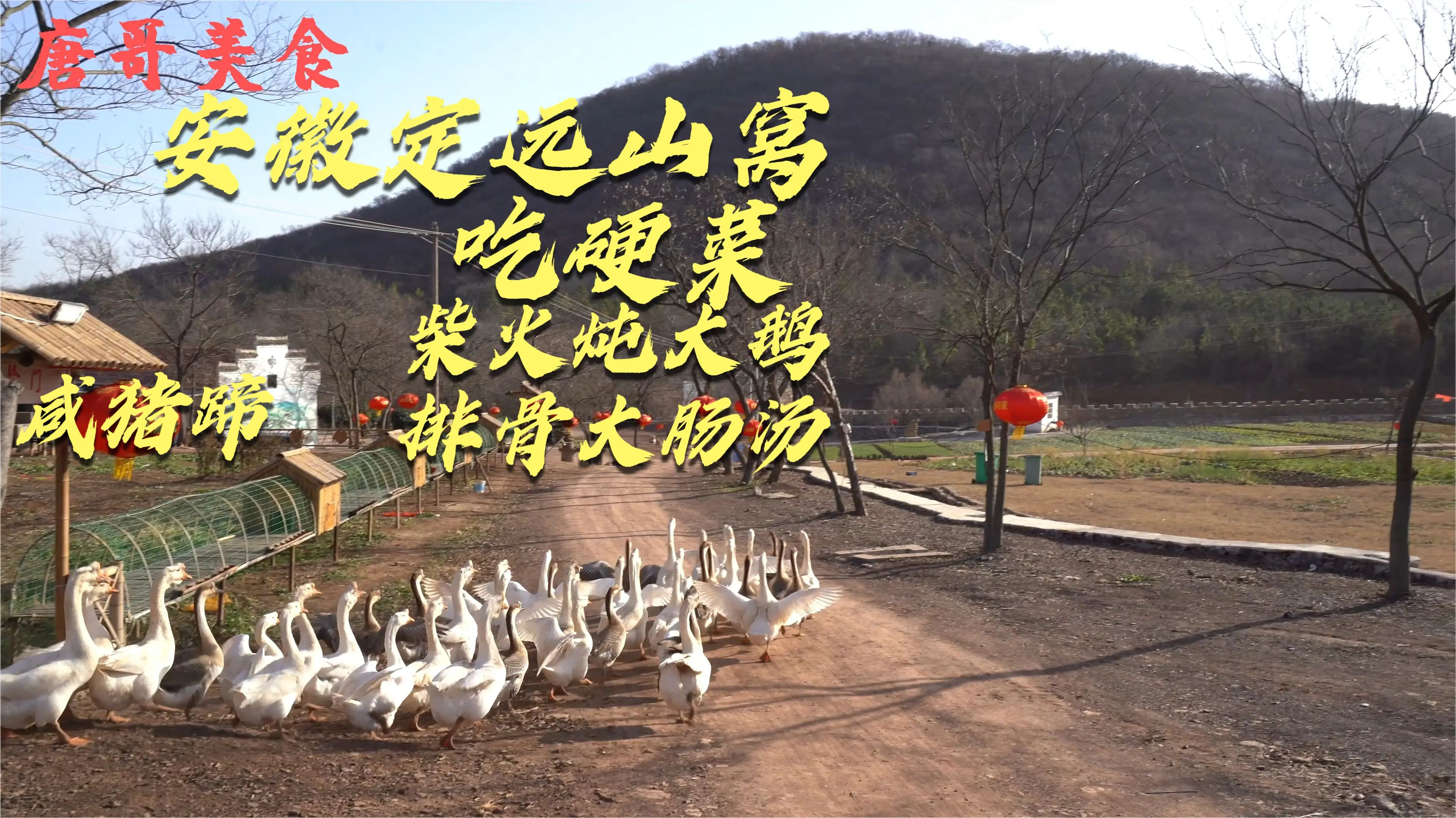 安徽山窝吃硬菜,柴火土灶炖大鹅排骨大肠汤咸猪蹄,高低要喝两杯