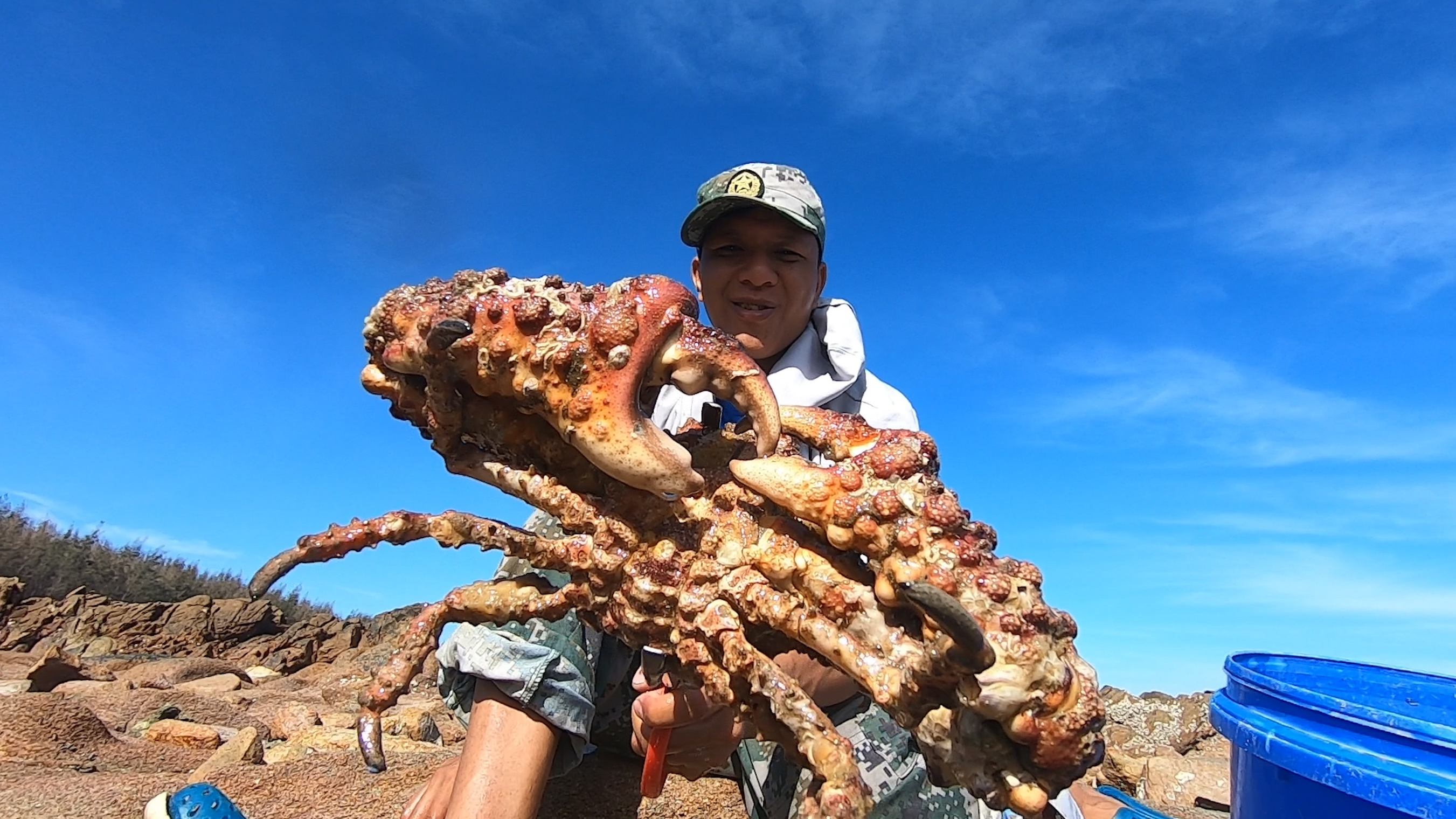 阿明赶海竟发现“海盗蟹猎食”,抓到一条石斑鱼,这货的伙食真好