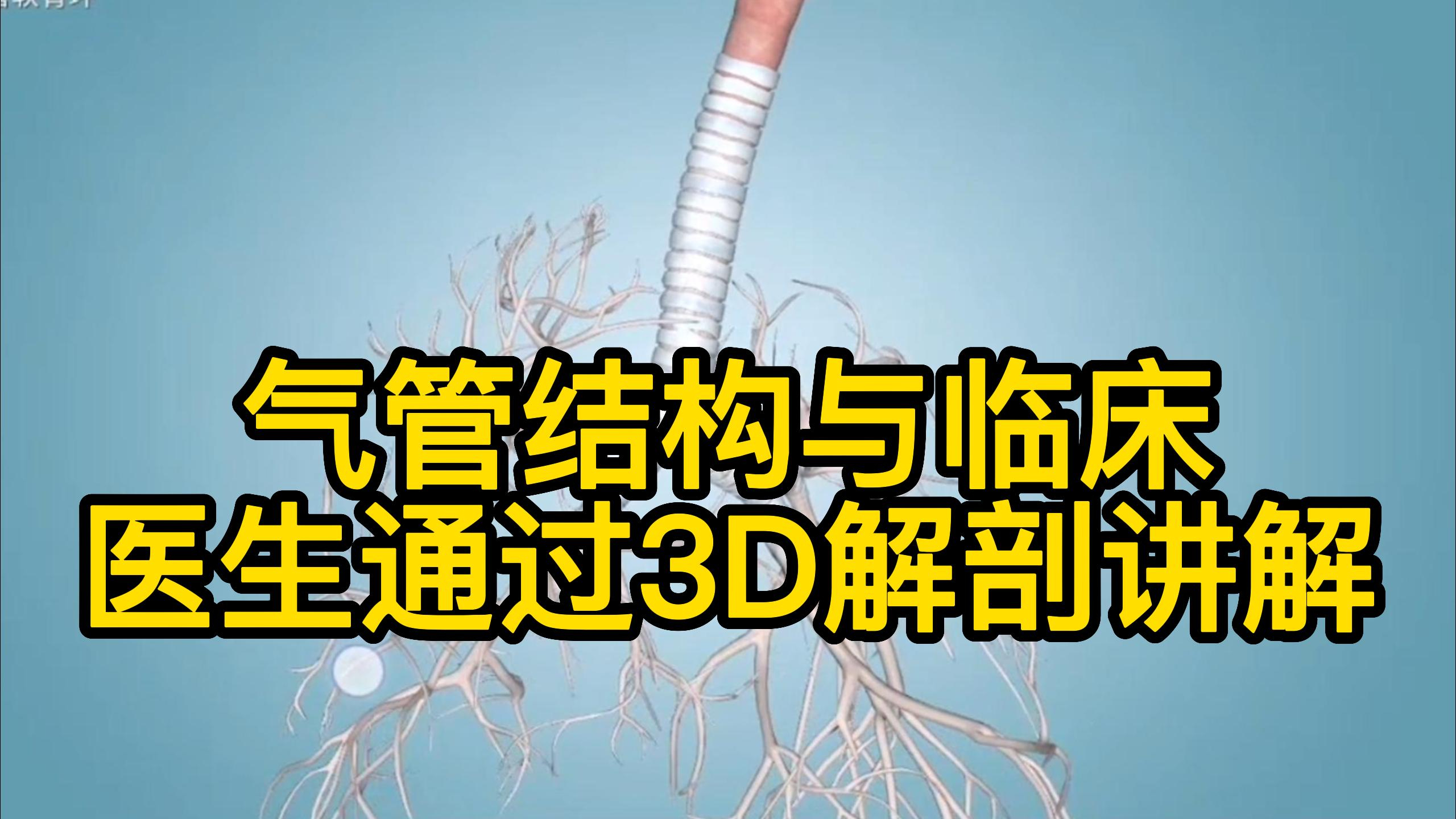 肺癌患者有时肿瘤侵犯气管,气管长啥样?医生通过3D解剖讲解