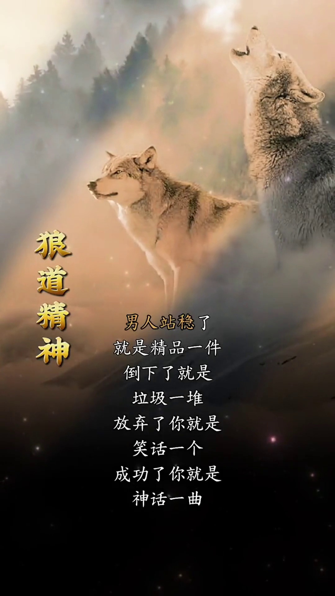 给男人们的一段话男人就要像狼一样的活着狼道精神狼道