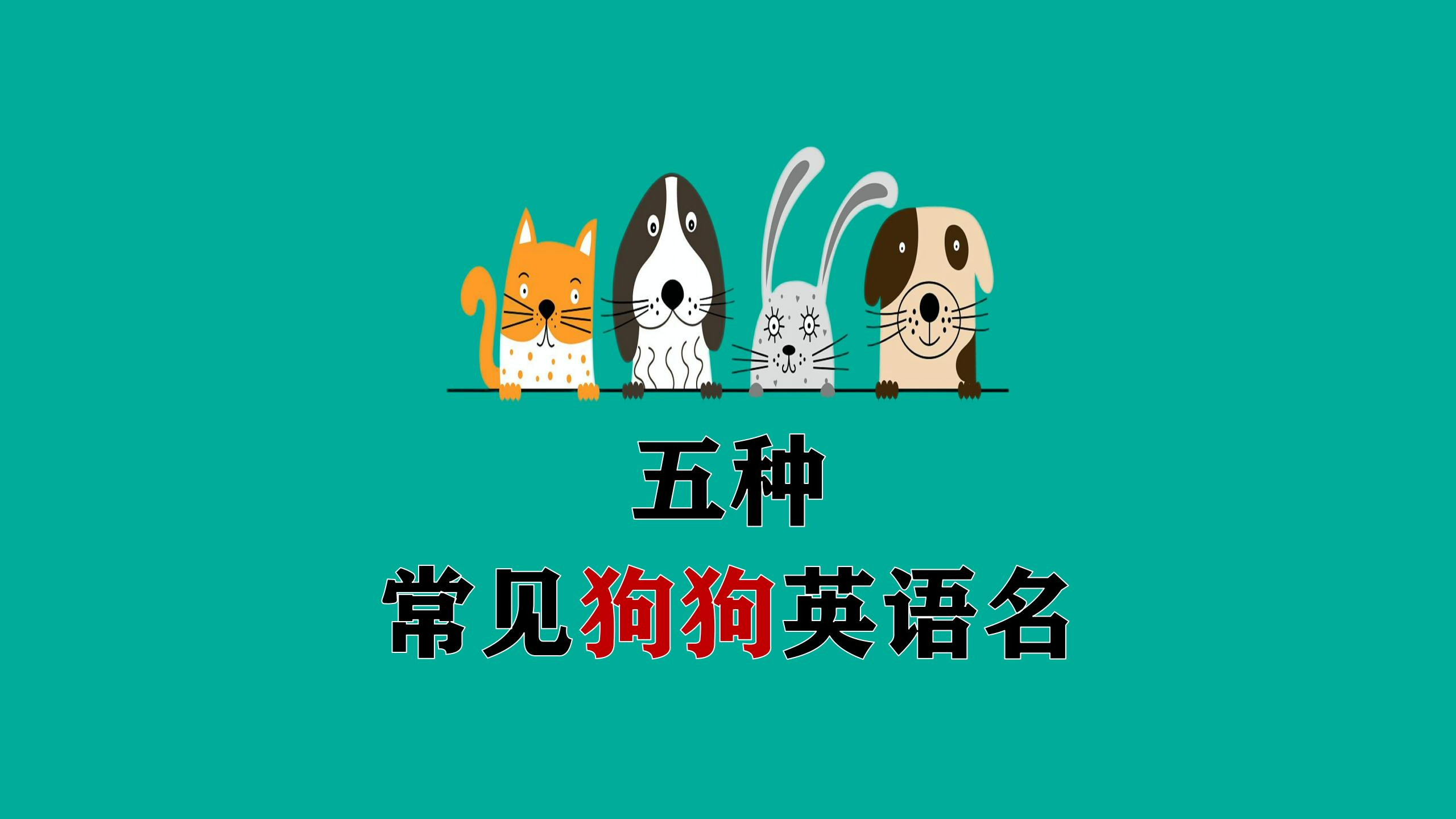 你喜欢狗狗吗?来学几个常见品种狗的英语名吧