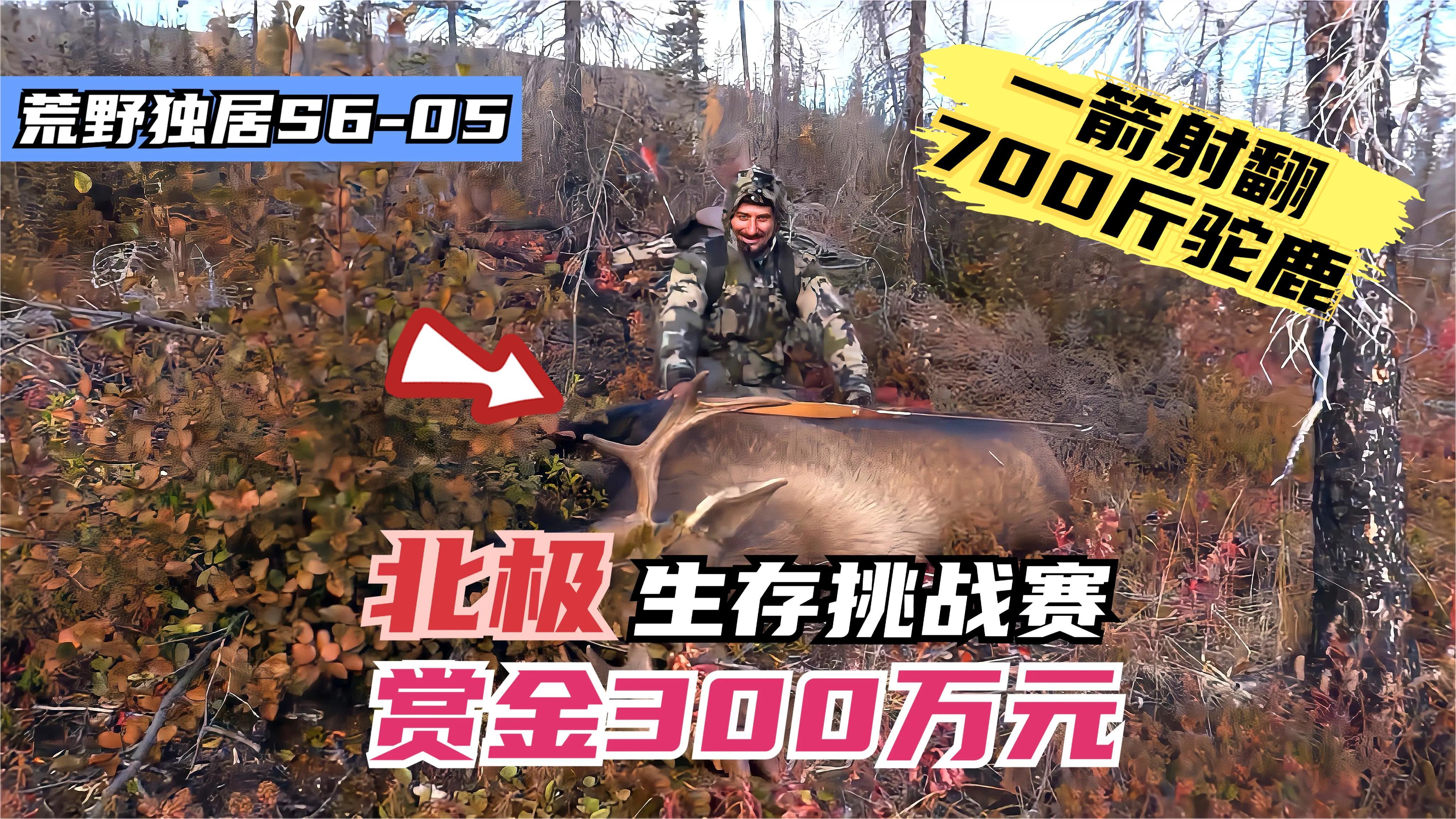 荒野独居第六季第五集:鹿神乔丹封神之战!一箭射翻700斤驼鹿!