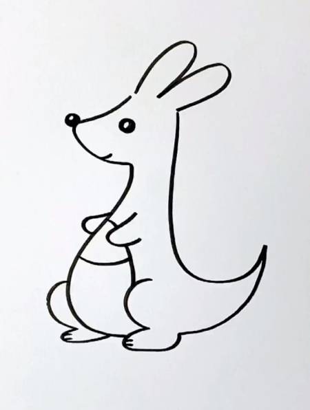 小袋鼠画法图片