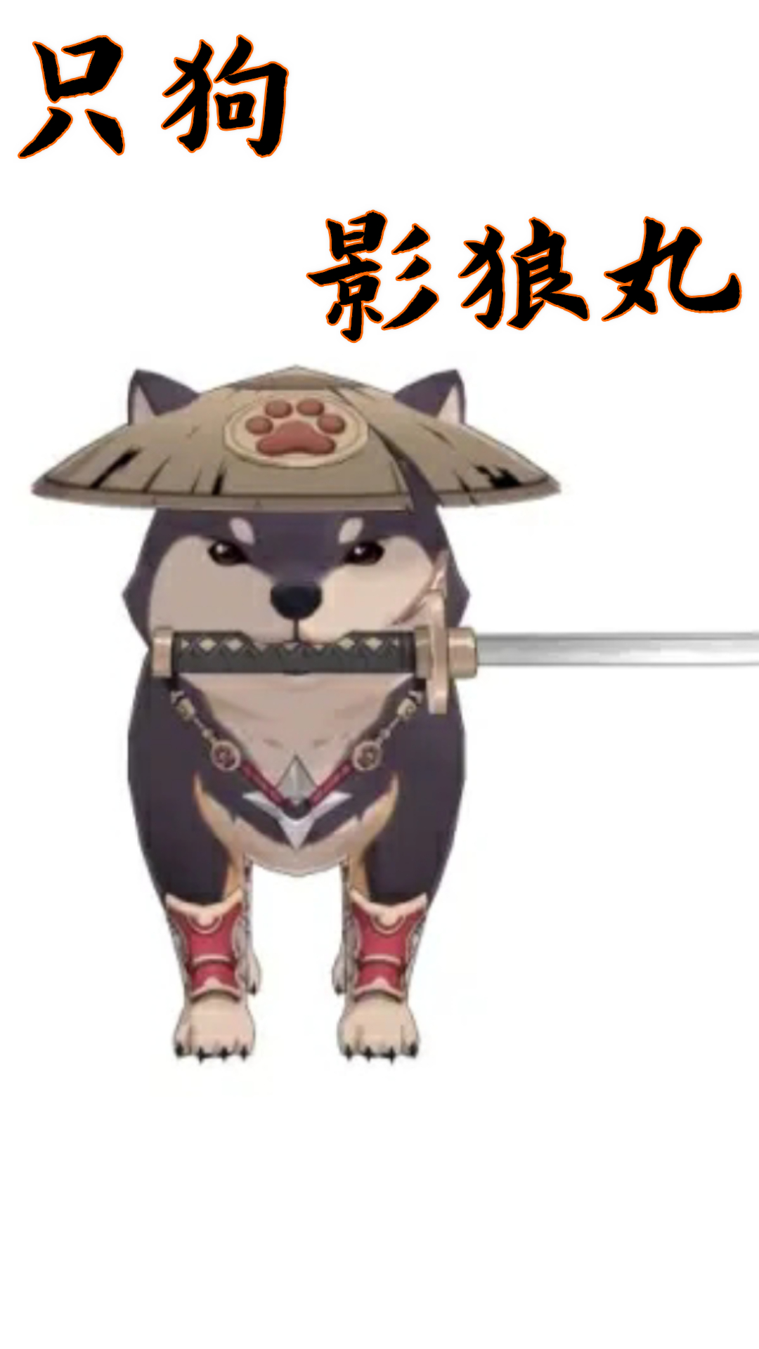 游戏嘉年华:原神无敌影狼丸 最强狗狗接受人类的挑战