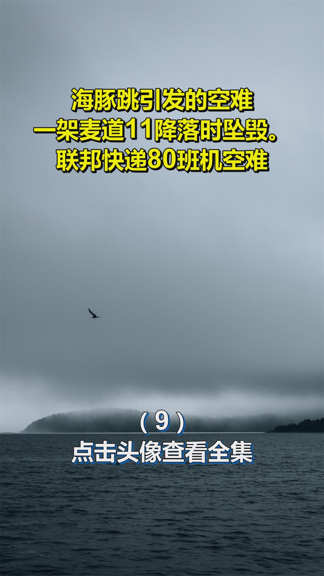 海豚跳引发的空难,一架麦道11降落时坠毁.联邦快递80班机空难9