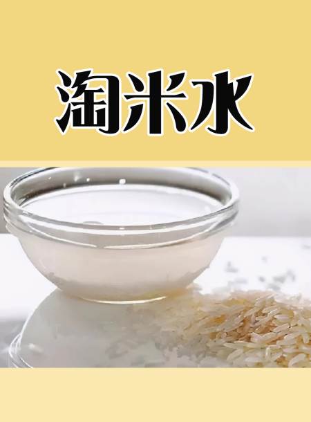 淘米水的妙用?家里淘米水这样用,为你节省不少事!实用小妙招