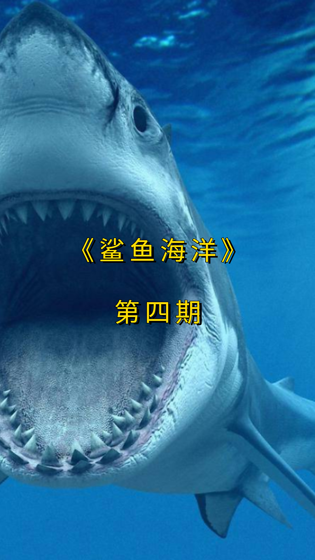 锤头鲨是群游动物它的头部是感应系统用于捕食和探测电磁场