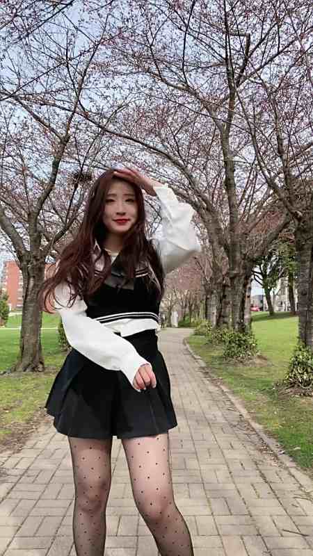 再过两天等樱花开满身后的枝头旺仔小乔版樱花树下的约定-度小视