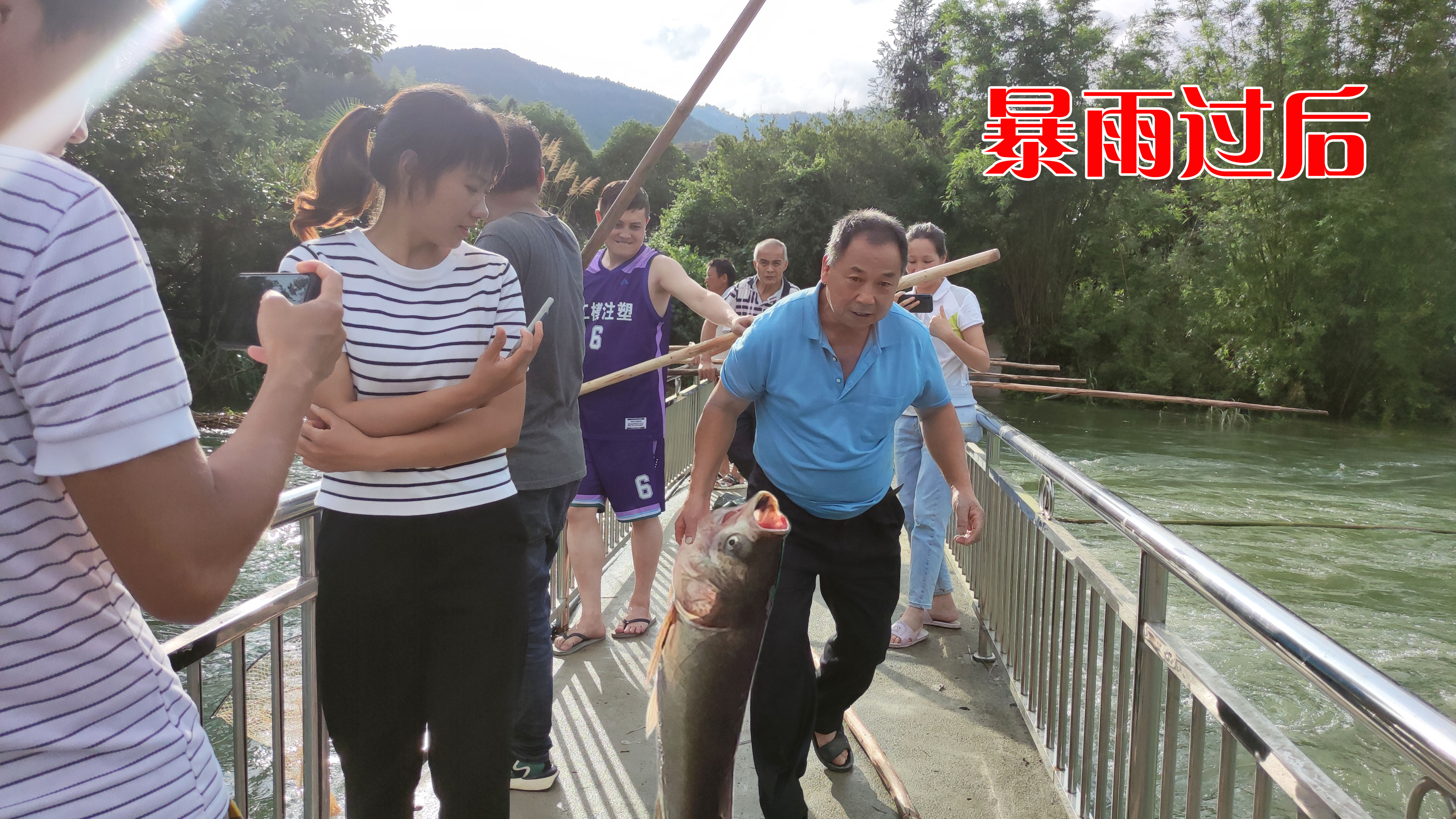 40年难得一遇暴雨,大鱼30米高水库冲下,村民在桥上捞鱼真过瘾