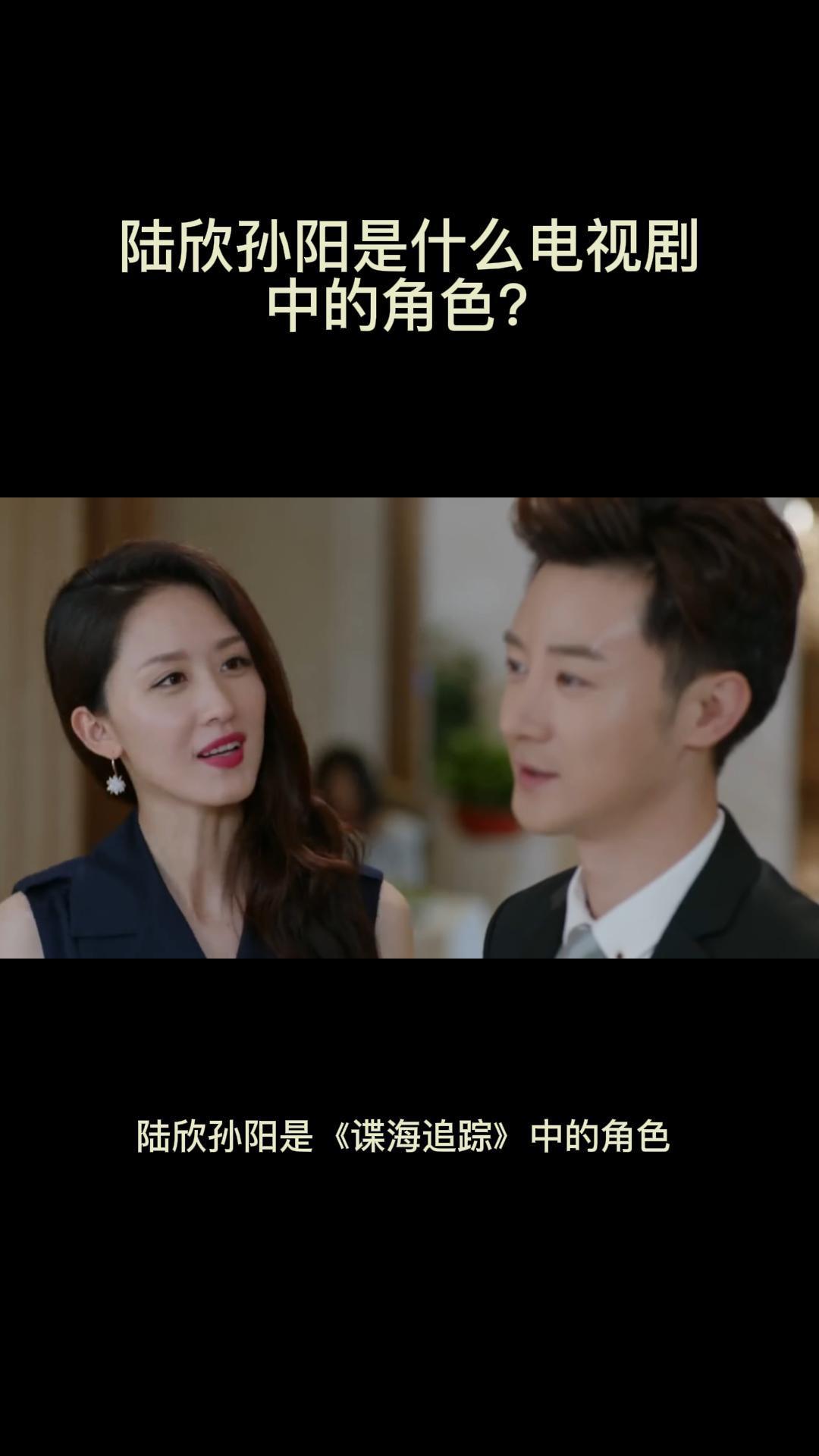 陆欣孙阳是什么电视剧中的角色