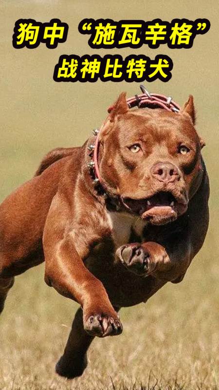 44万#格斗#这个结局令人猝不及防啊!4.7万阿弥陀佛,少林一代宗师56.