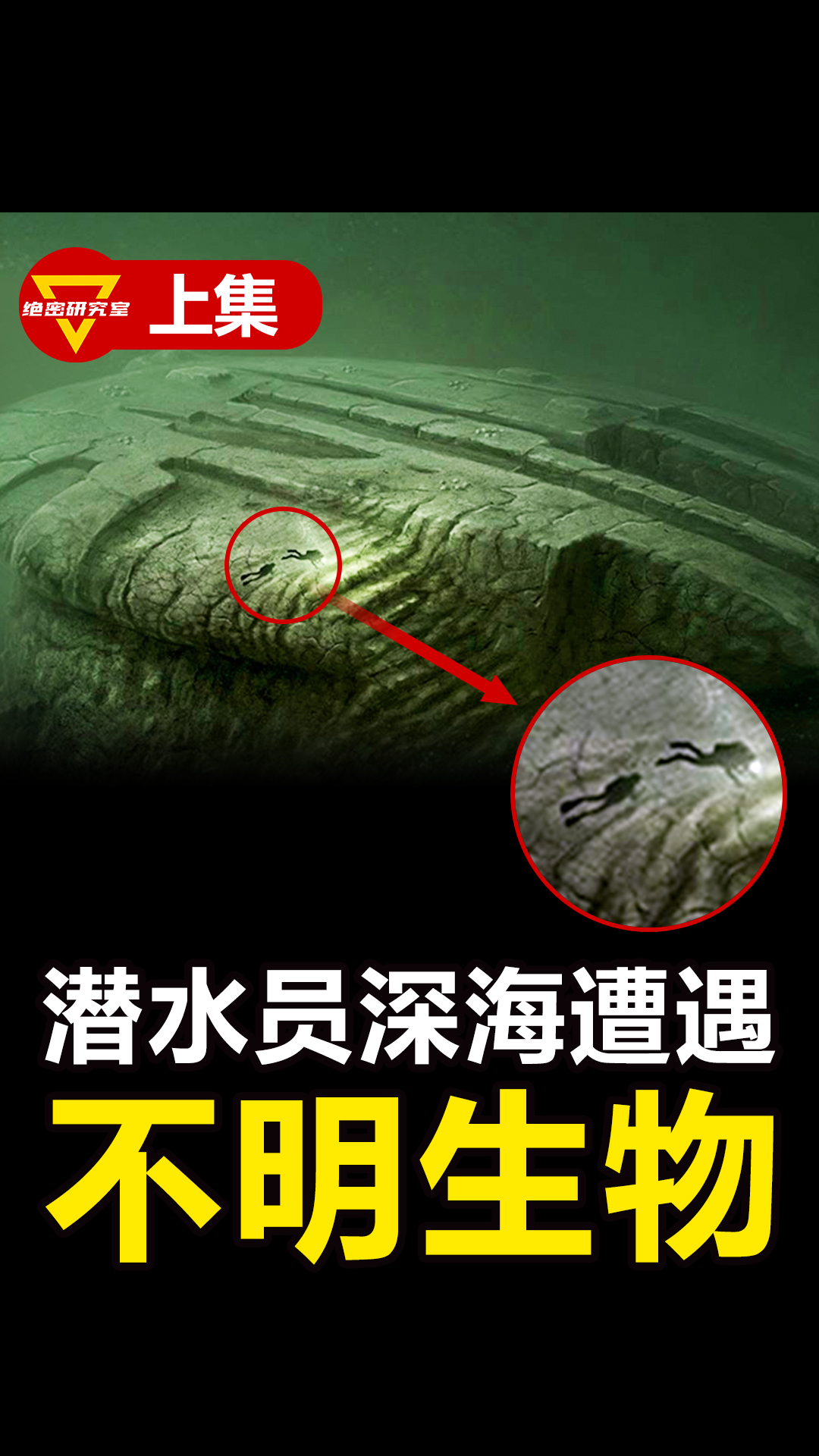 7名潜水员遭遇不明生物 捕获失败 3人遇难深海隐藏的秘密(上)