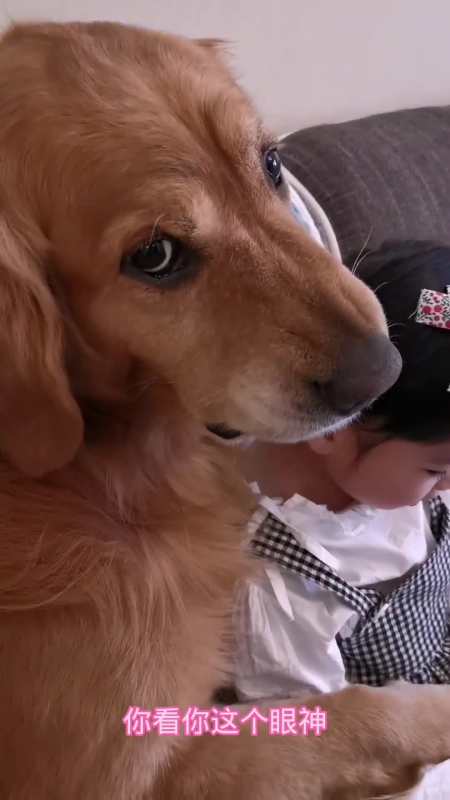 二狗你真是够了够了二狗我劝你别多管闲事