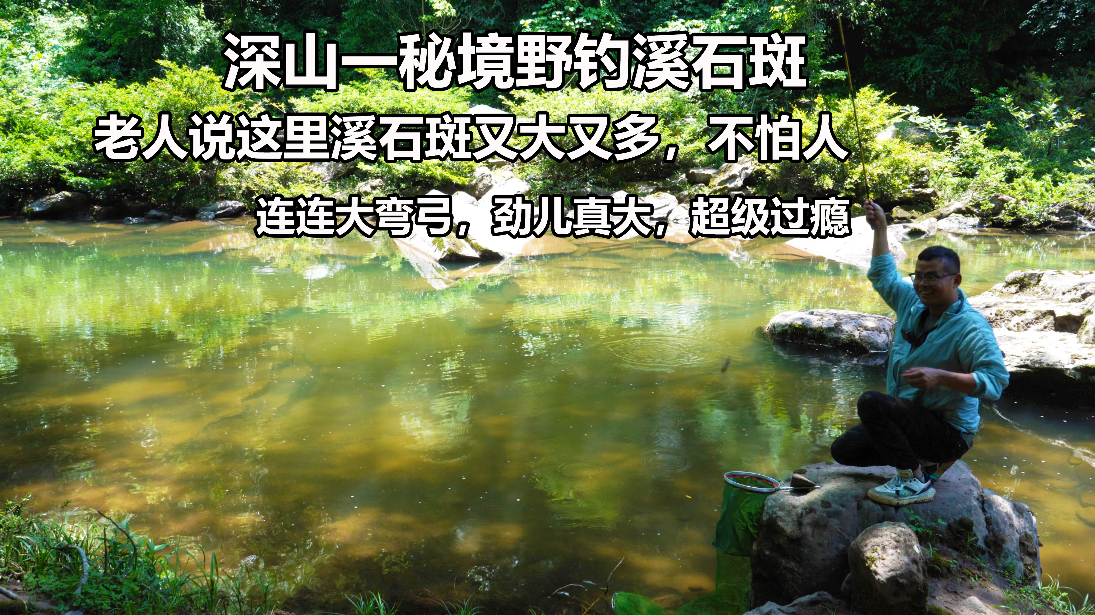 人迹罕至的溪流野钓有多疯狂?溪石斑多到不怕人,够劲连连大弯弓