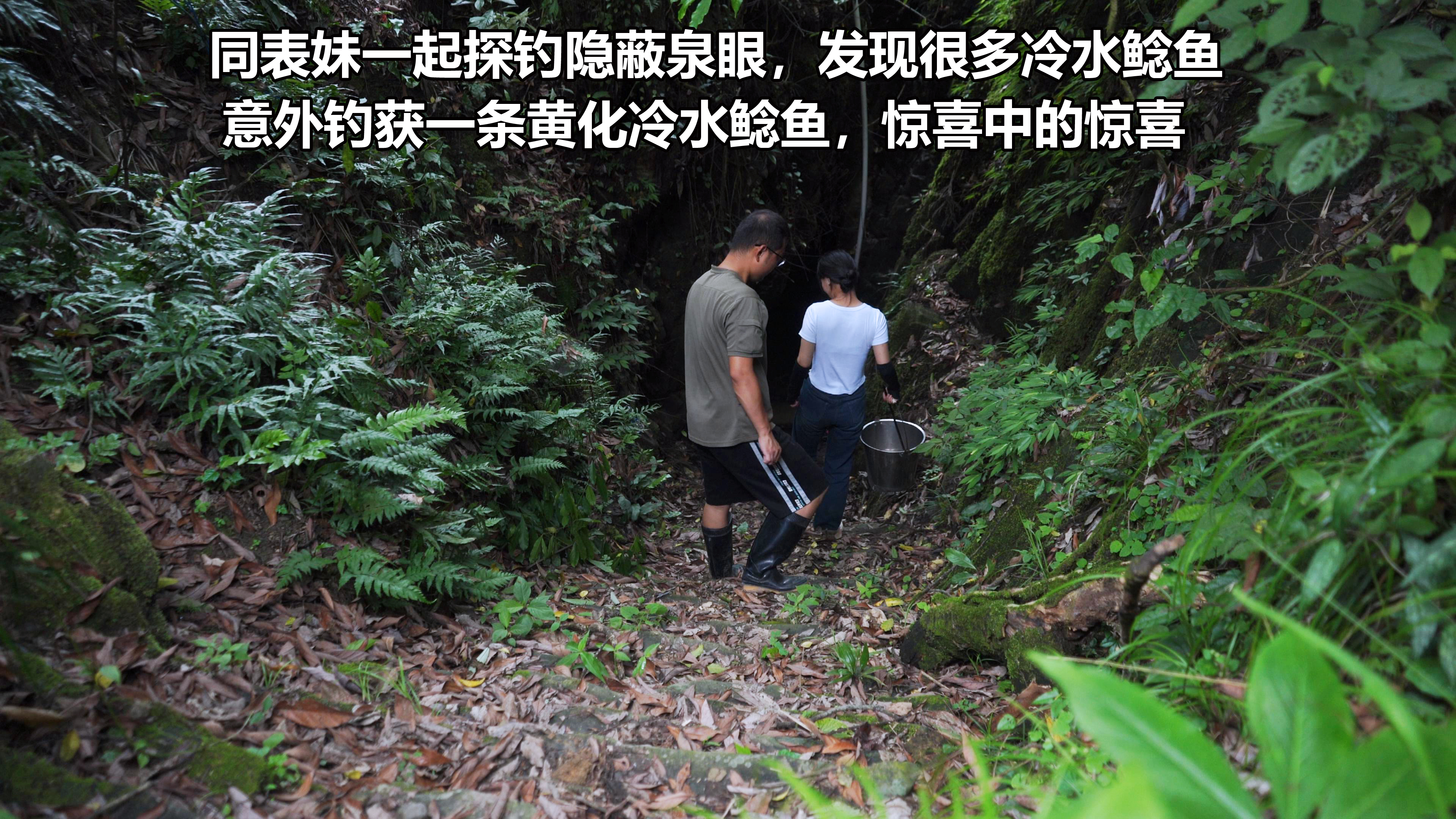 探钓隐蔽阴森泉眼，里面全是200一斤好货，还钓获一条黄化个体