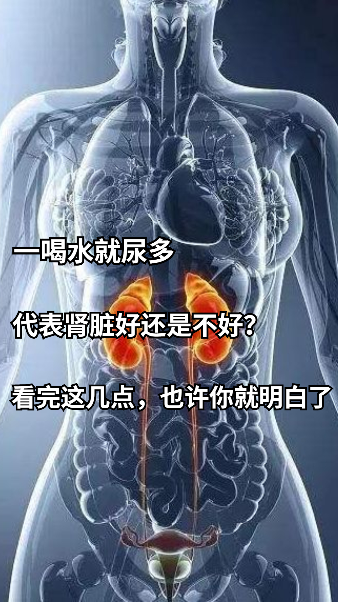 一喝水就尿多,代表肾脏好还是不好?看完这几点,也许你就明白了