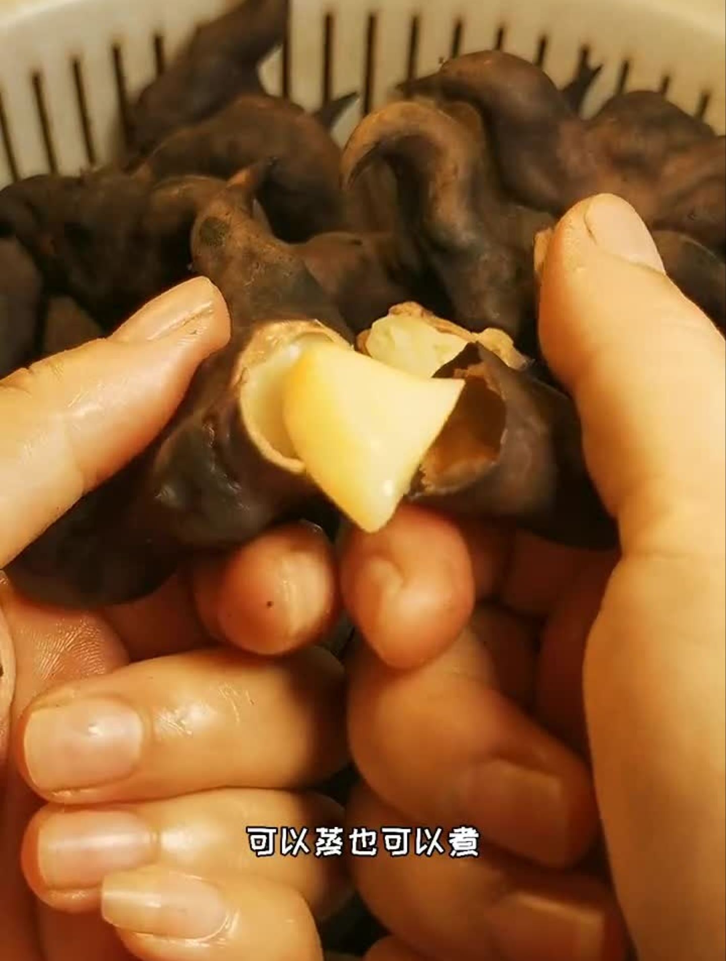 洪湖菱角家乡特产洪湖菱角,每年这个季节都会吃.美得很