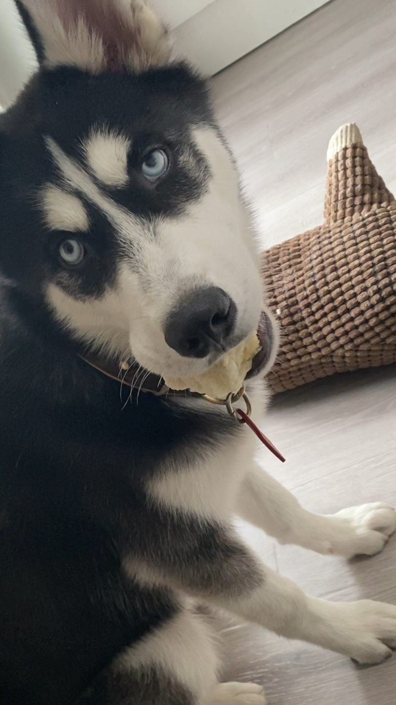 811_1442竖版 竖屏