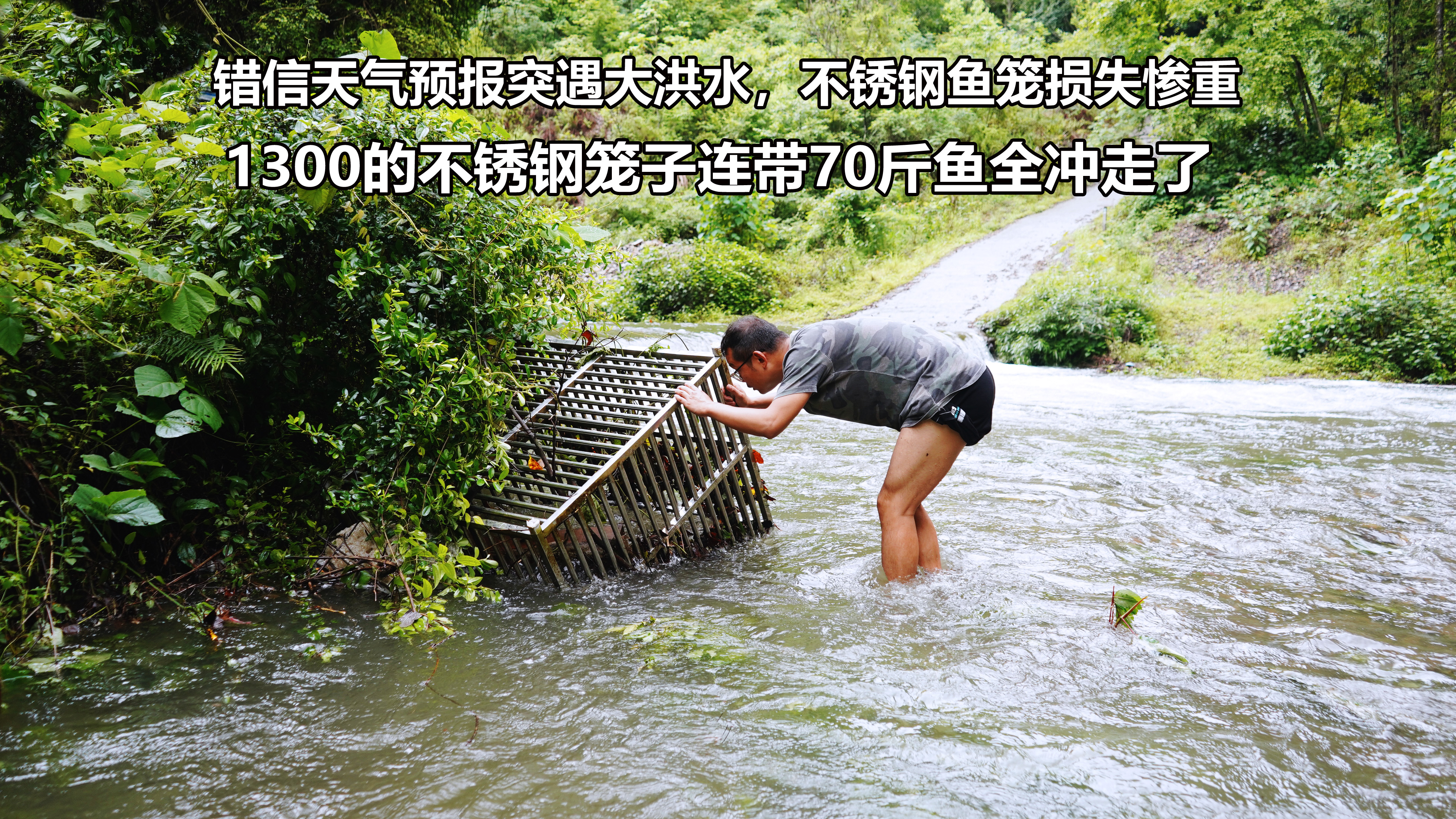 错信天气预报,突发大洪水,1300的不锈钢鱼笼连带70斤鱼全冲跑了