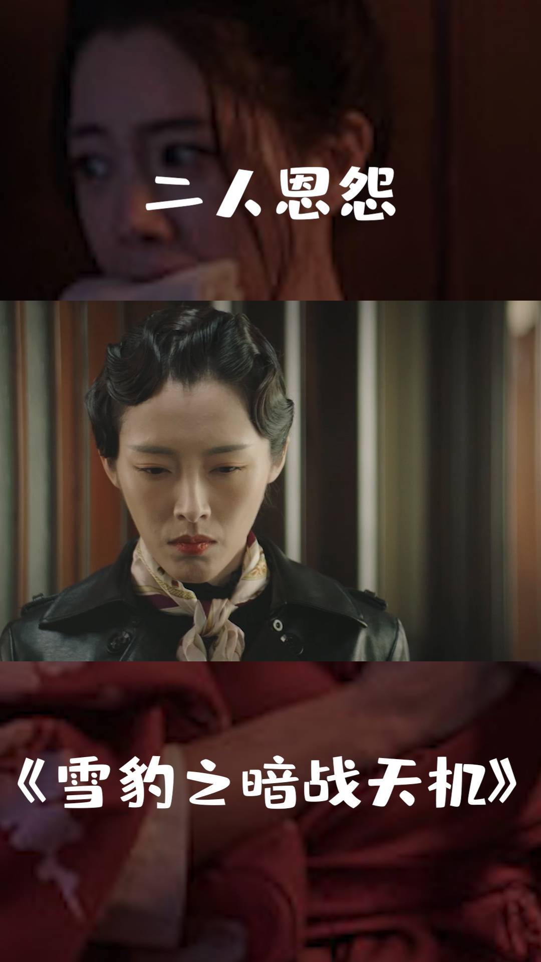 雪豹之暗战天机仇恨滋生偏激美女为了邀功竟想公报私仇