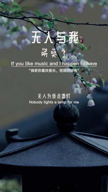 当有心事,想找一个人倾诉的时候,突然发现,无人同我共余生