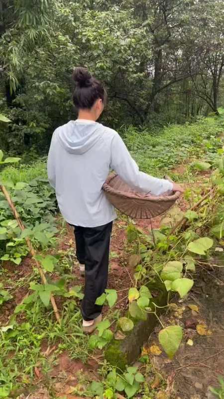 很多年轻人都不愿意留在农村但我觉得农村真的挺好的