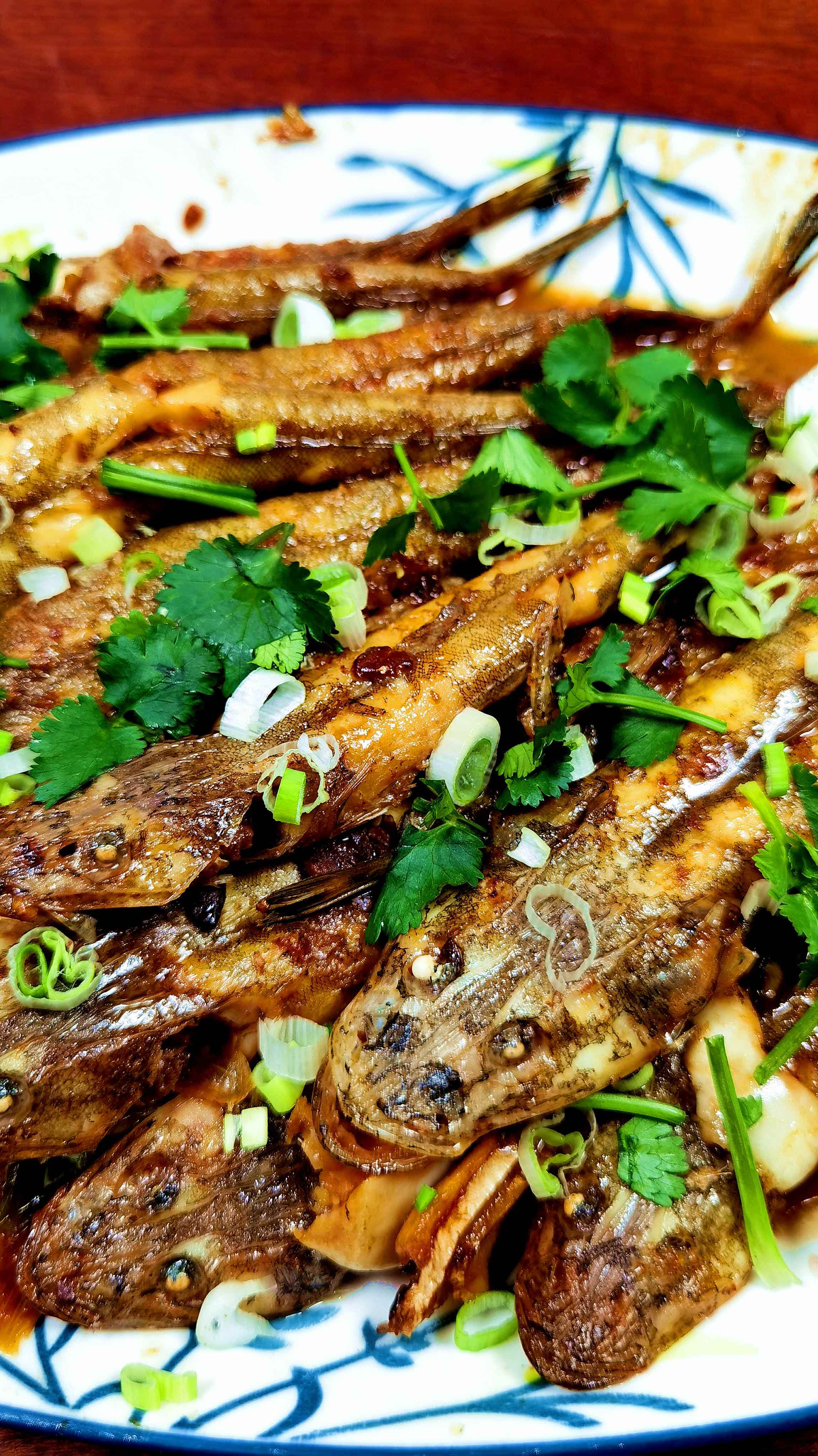 酱焖辫子鱼鲜香美味酱香味十足太香了