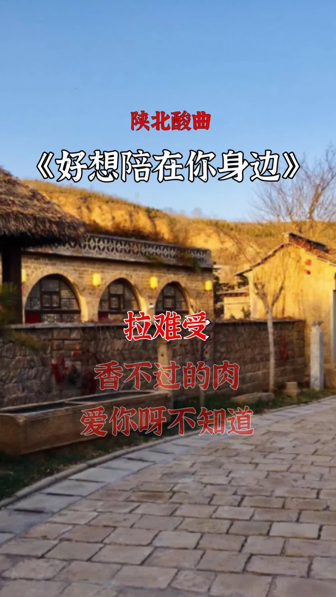 陕北酸曲《好想陪在你身边》