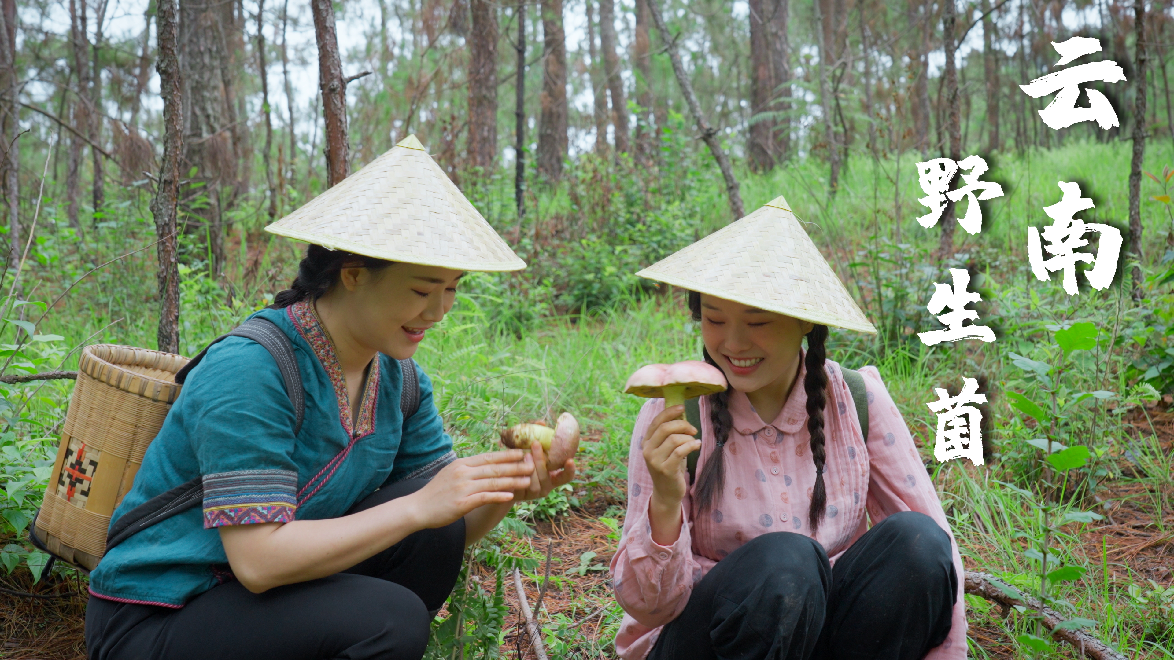 一锅野生菌煮出云南人一夏的期待