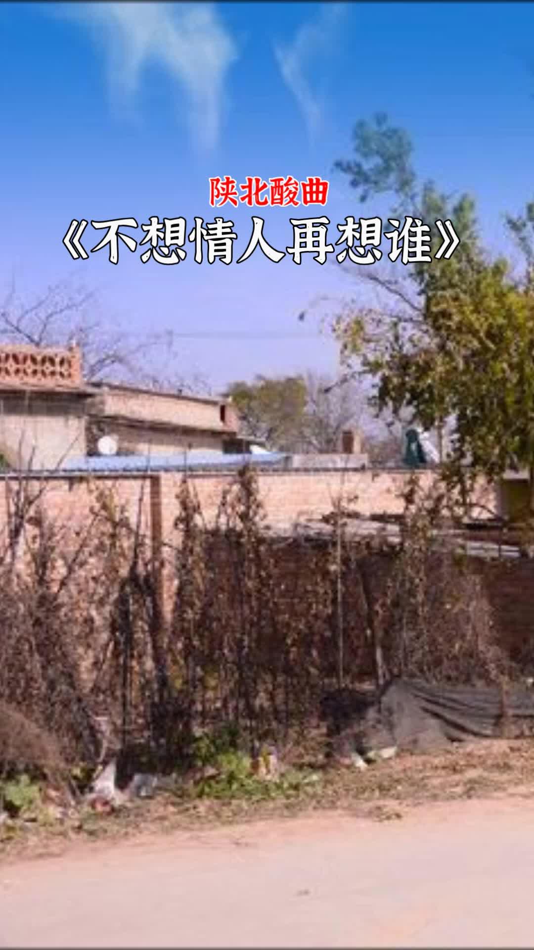 陕北酸曲想情人图片