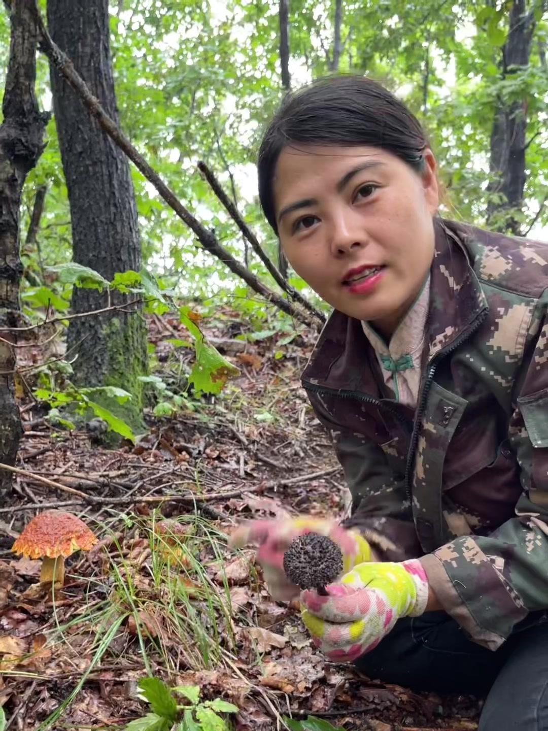 松塔牛肝菌图片