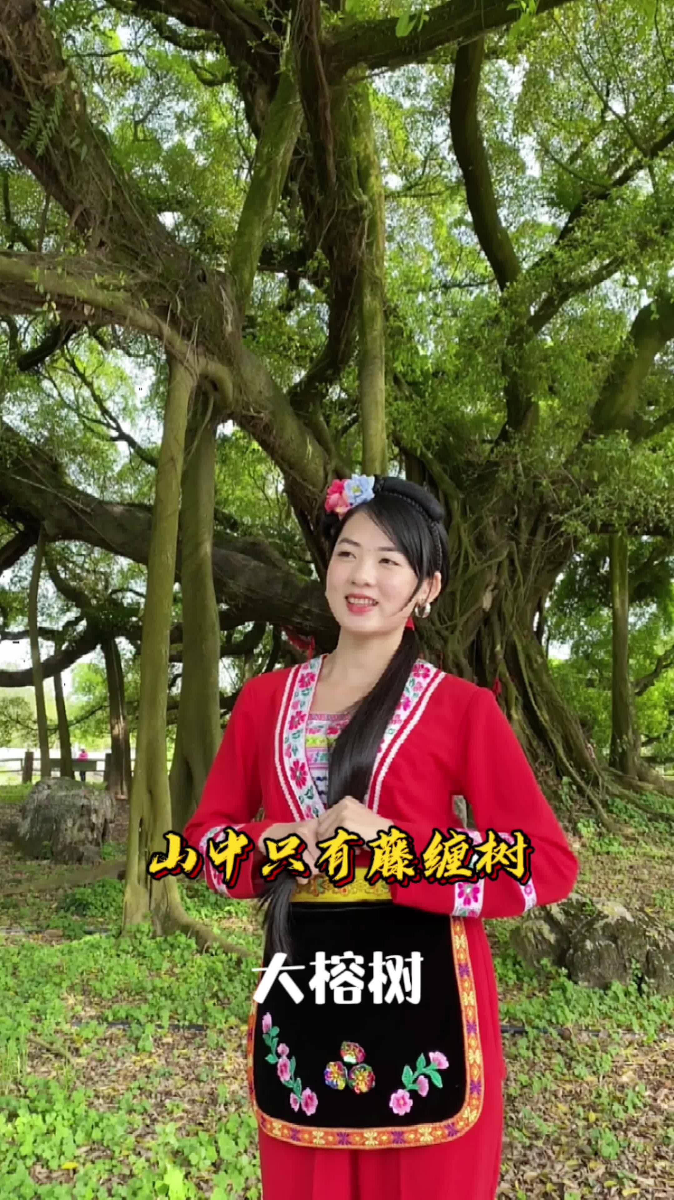 山中只见藤缠树,世上哪见树缠藤