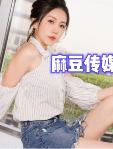 麻豆传媒落网,靠"小电影"赚取高达上千万,"外包公司"被一锅端!-度小视